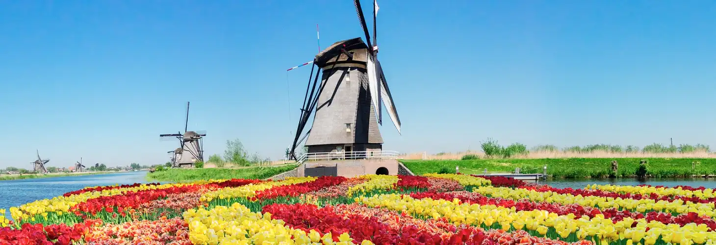 Keukenhof, Holland