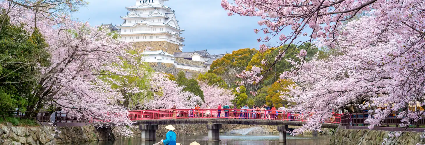 Burg Himeji mit Kirschblüten im Frühling