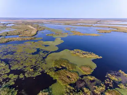 Luftbild des Biosphärenreservats Donaudelta in Rumänien