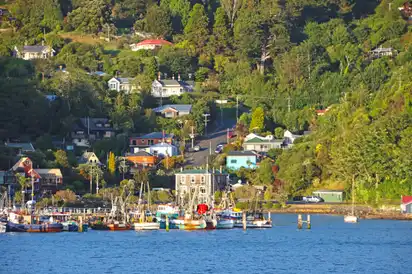 Blick auf ein kleines Dorf Port Chalmers in Neuseeland