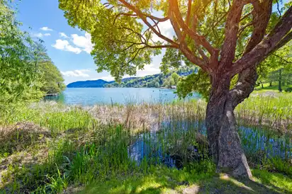 Idylle am Wörthersee