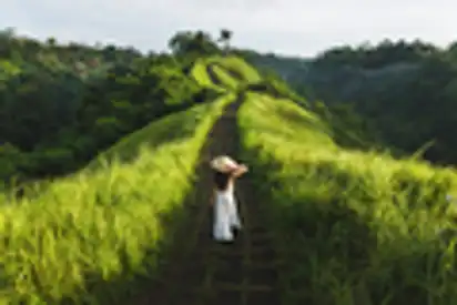 Campuhan Ridge Wandergebiet, Ubud