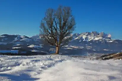 Winterlandschaft am Wilden Kaiser