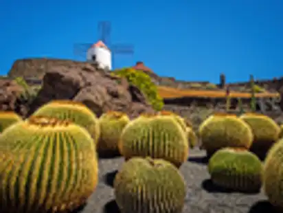 JardÃ­n de Cactus auf Lanzarote, Kanaren