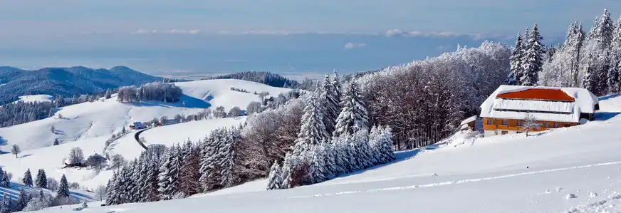 Winterspaziergang im Schwarzwald, Deutschland